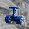    DN50-500, PN16-250 ()