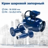 ���� ������� �������� DN32 PN4,0��� (���-25.220.01-���-097-16)